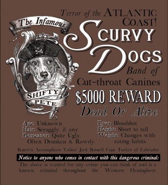 1595-scurvy-dog